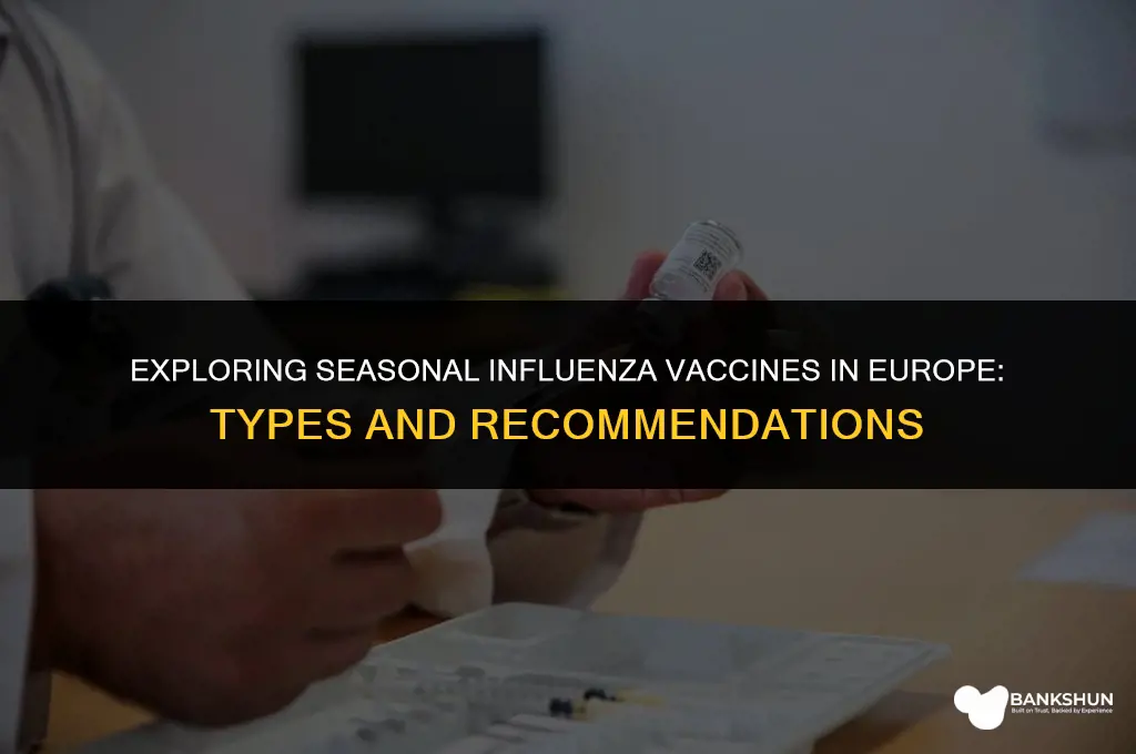 who europe types of seasonal influenza vaccine