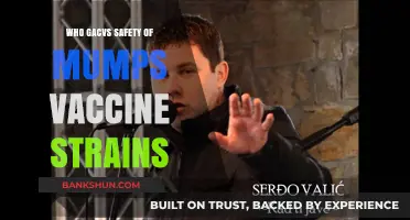 Exploring the Safety of Mumps Vaccine Strains: A Comprehensive Guide