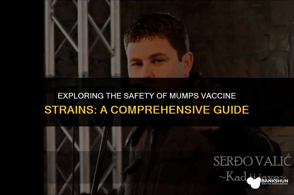 who gacvs safety of mumps vaccine strains
