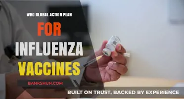 Global Strategy: WHO's Action Plan for Influenza Vaccines Unveiled