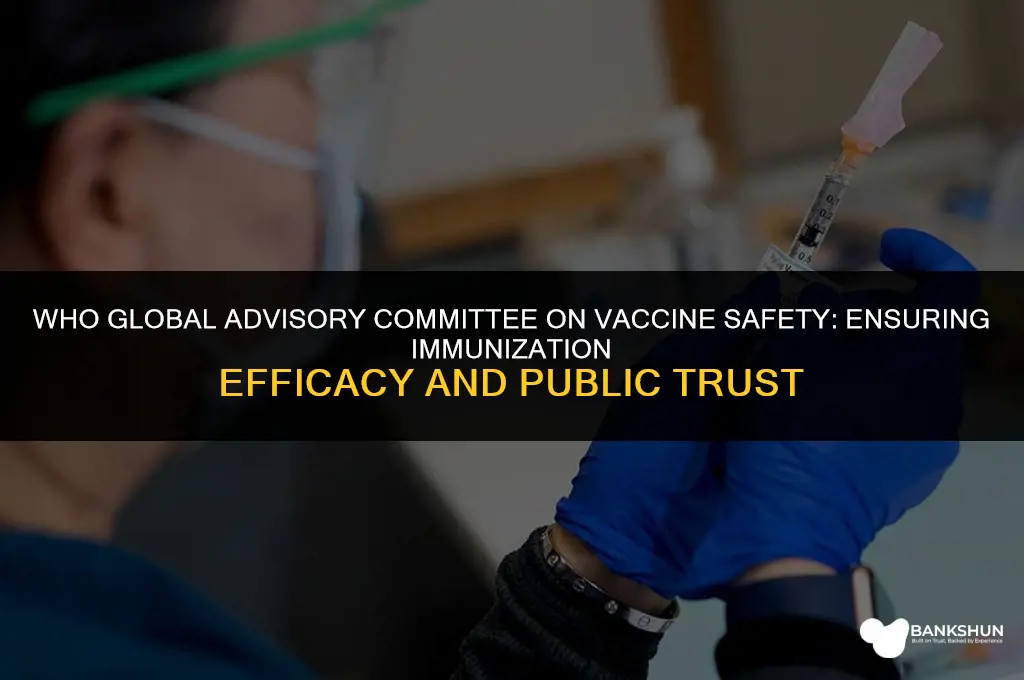 who global advisory committee on vaccine safety