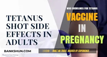 Tetanus Vaccine in Pregnancy: WHO Guidelines and Safety