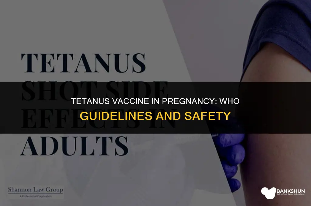 who guidelines for tetanus vaccine in pregnancy