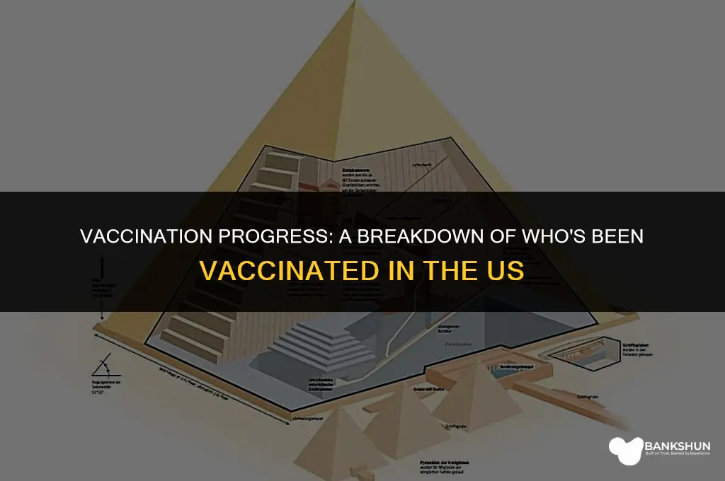 who has been vaccinated in the us