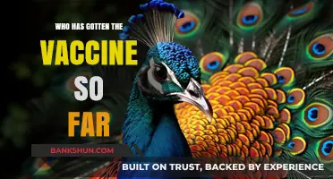 Vaccine Rollout: Who's Received Their Shots So Far?