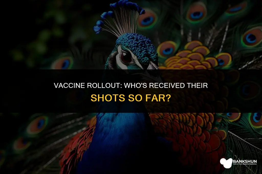 who has gotten the vaccine so far
