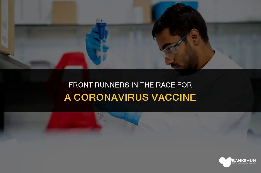 who has the lead on coronavirus vaccine