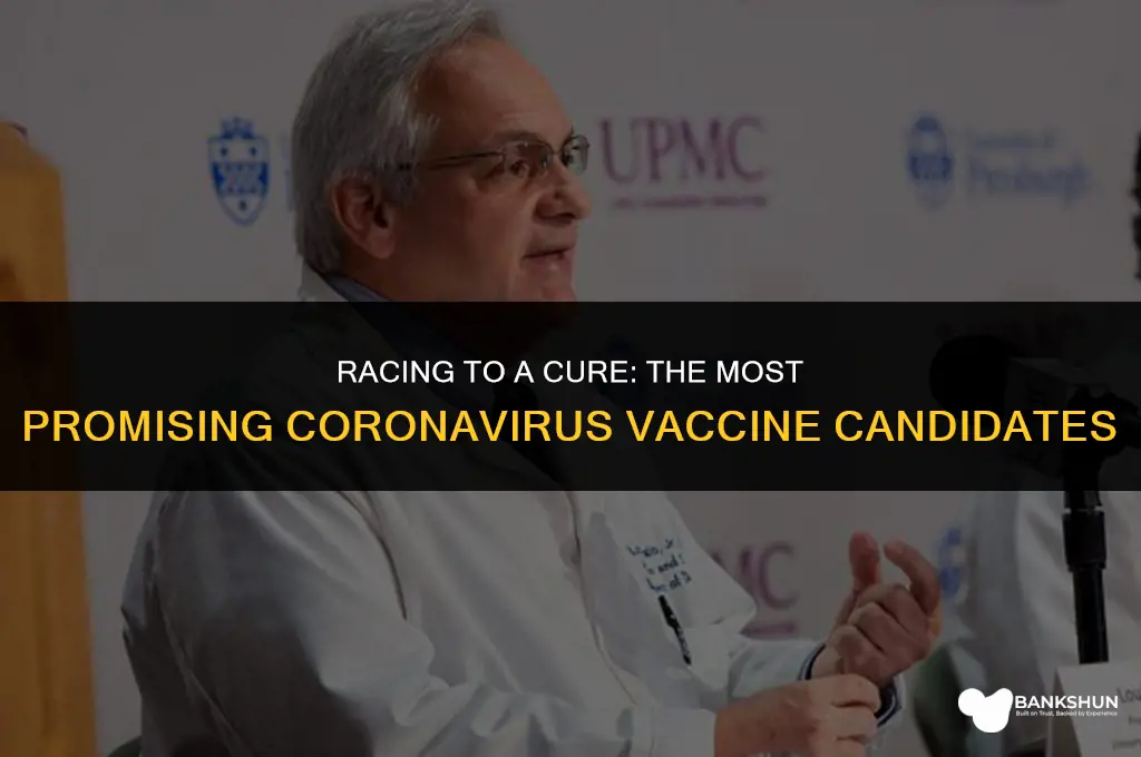 who has the most promising coronavirus vaccine
