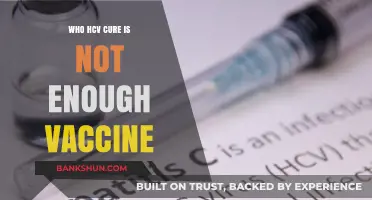 Beyond the HCV Cure: Why Vaccination Remains Crucial