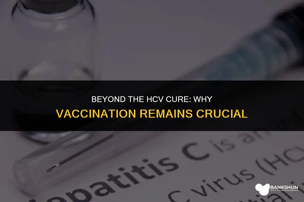 who hcv cure is not enough vaccine