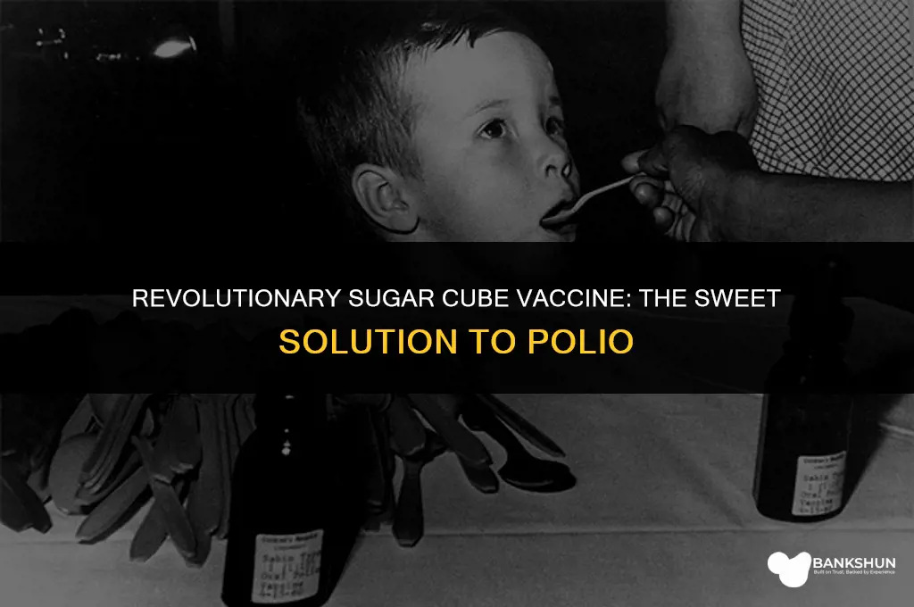 who invented sugar cube vaccines for polio
