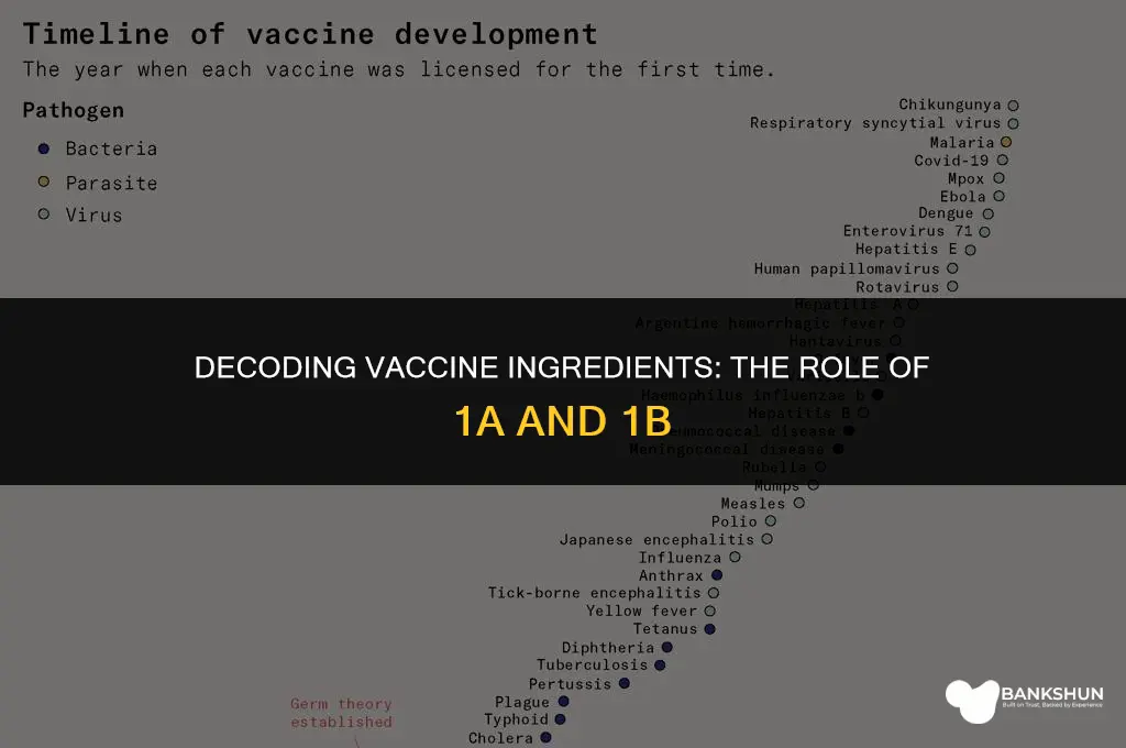 who is 1a and 1b for vaccine