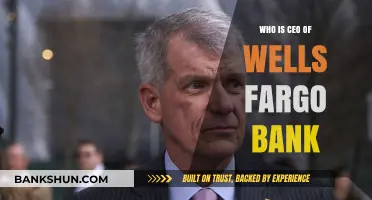 Who is the Current CEO of Wells Fargo Bank?