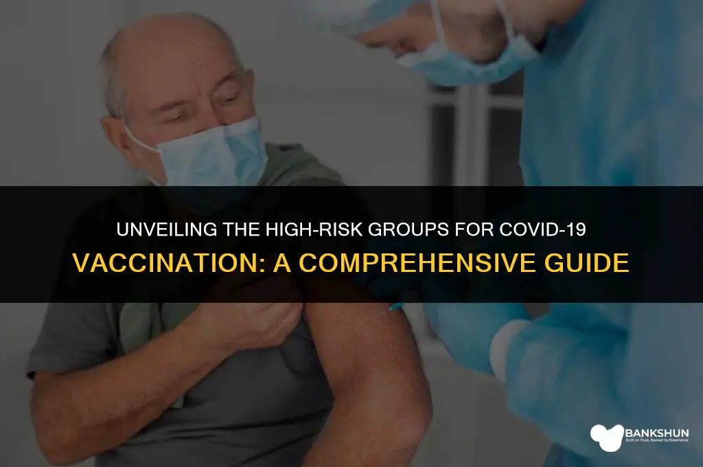 who is considered high risk for vaccine