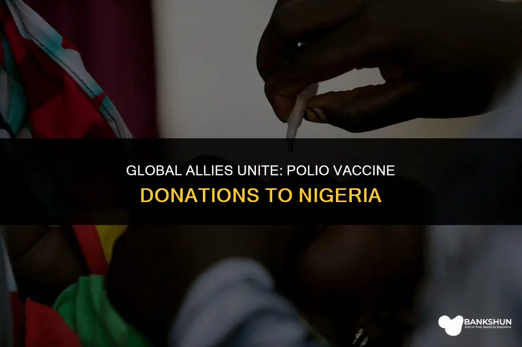 who is donating polio vaccines to nigeria
