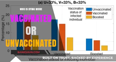 Vaccinated vs. Unvaccinated: Analyzing Mortality Rates in the Pandemic Era