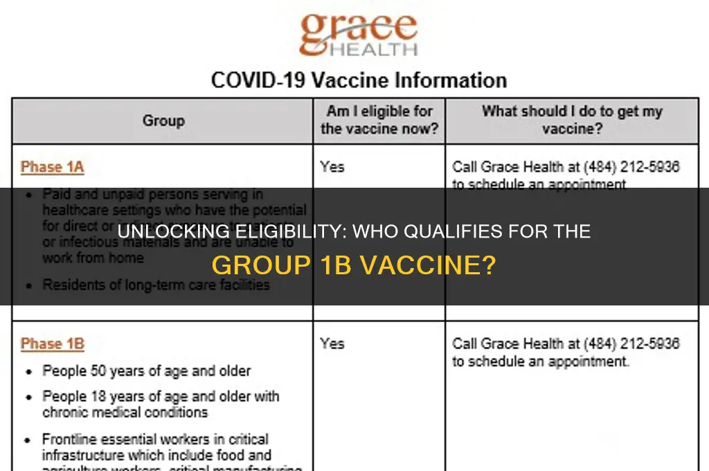 who is eligible for group 1b vaccine