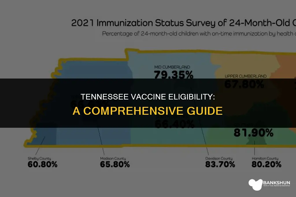 who is eligible for vaccine in tennessee