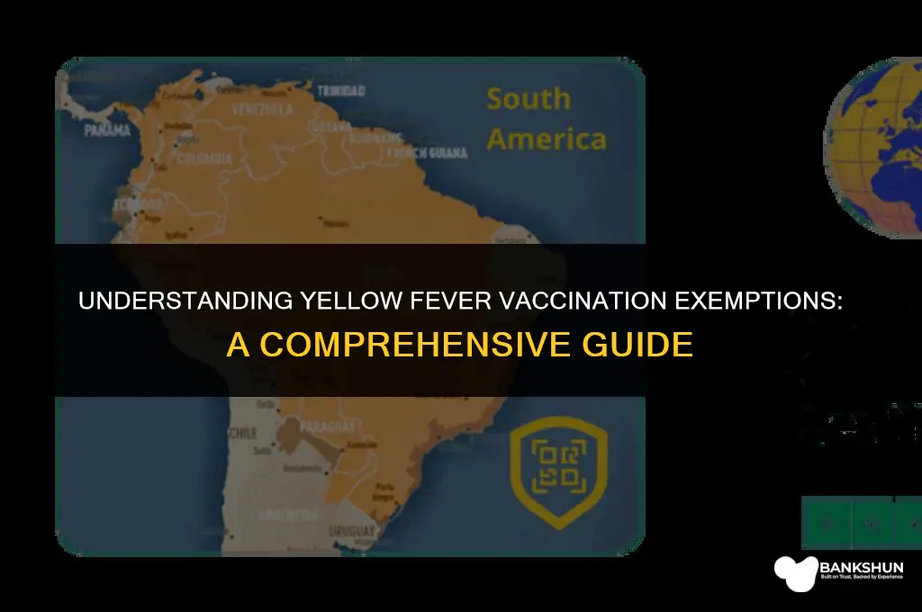 who is exempt from yellow fever vaccination