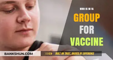 Understanding Vaccine Groupings: Who's in the 1A Category?