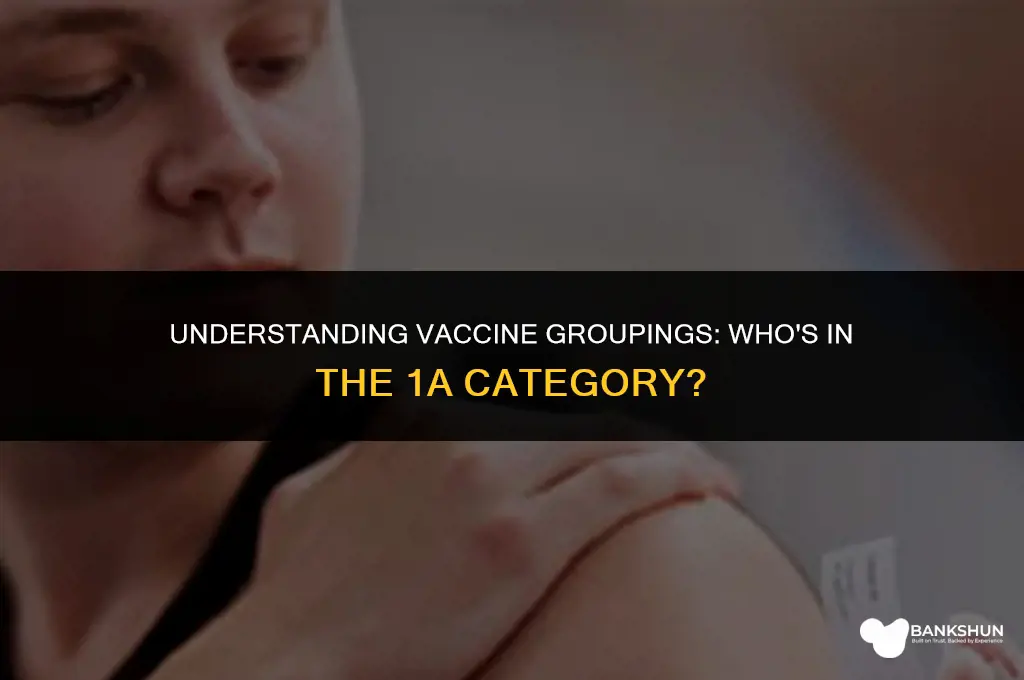 who is in 1a group for vaccine