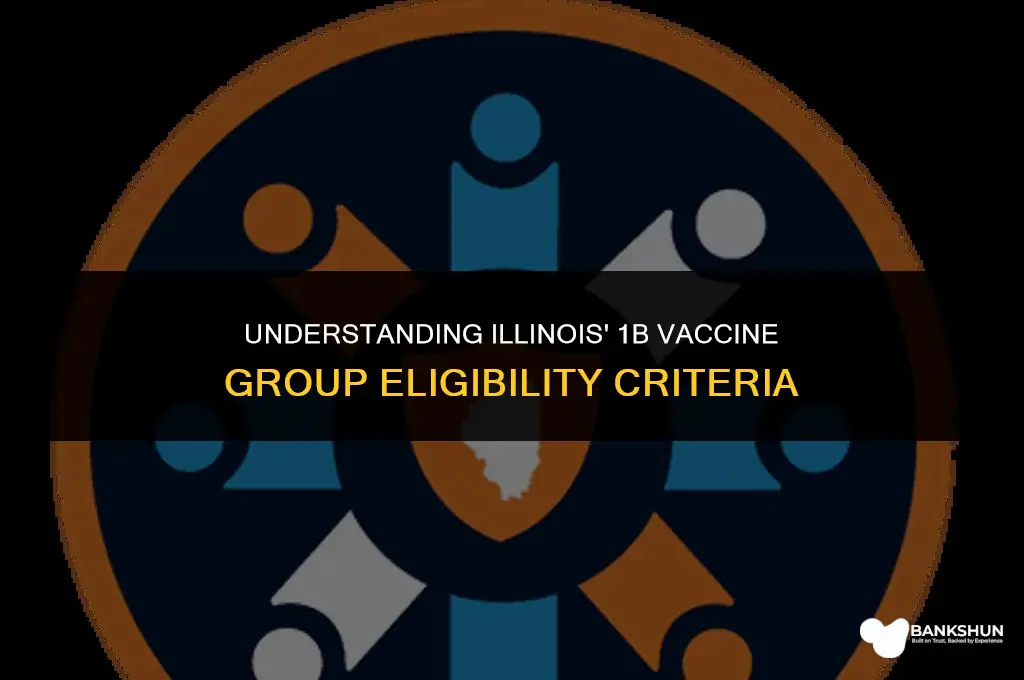 who is in 1b vaccine group illinois