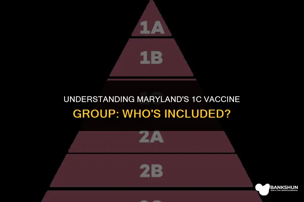 who is in 1c vaccine group maryland