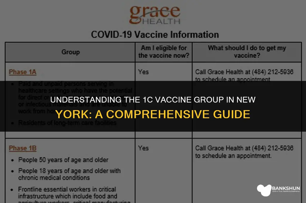 who is in 1c vaccine group ny