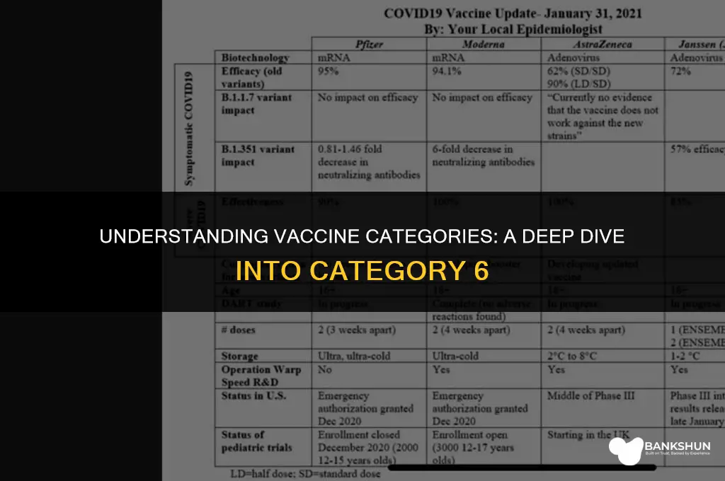who is in category 6 for vaccine
