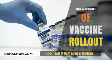 Who's Steering the Vaccine Rollout: A Comprehensive Guide