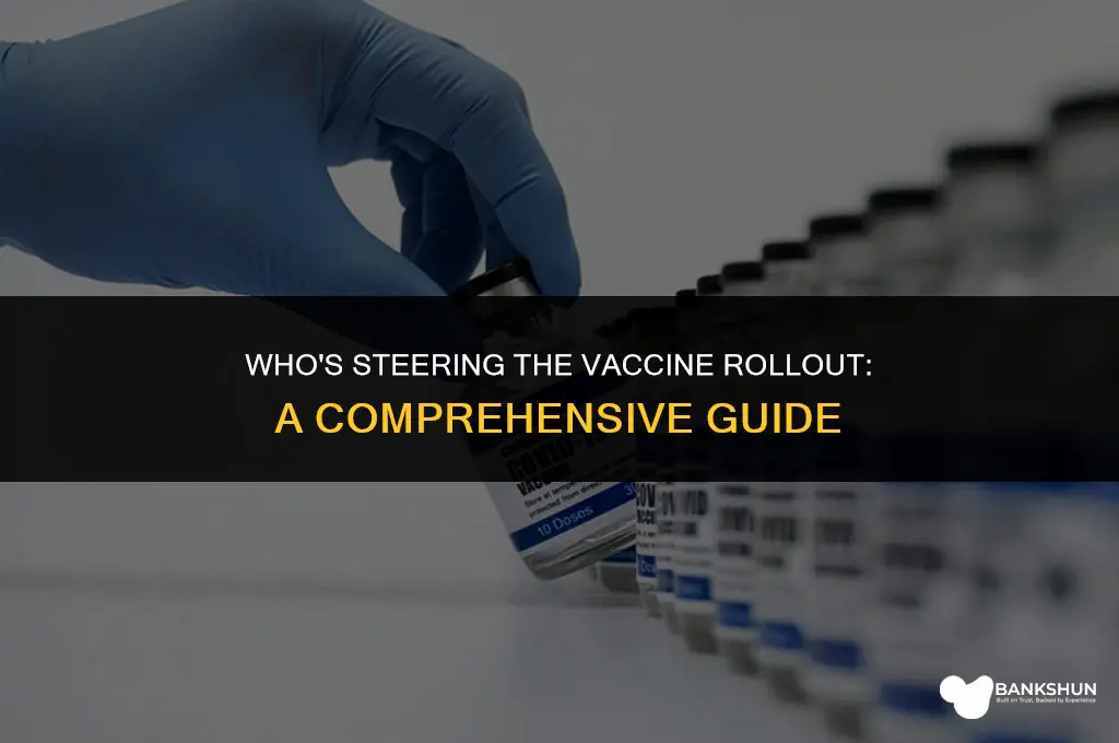 who is in charge of vaccine rollout