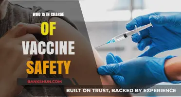 Who Oversees Vaccine Safety: A Comprehensive Guide