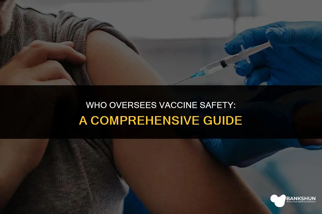who is in charge of vaccine safety