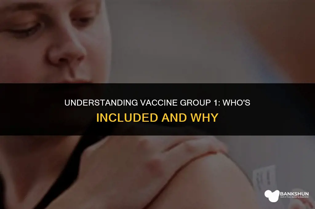 who is in group 1 for vaccine