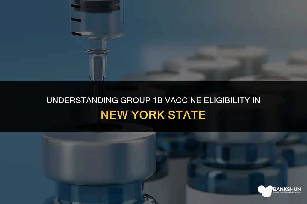 who is in group 1b vaccine nys