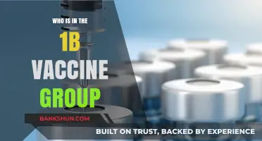 Understanding the 1B Vaccine Group: Who's Included and Why