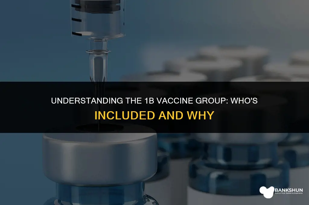 who is in the 1b vaccine group