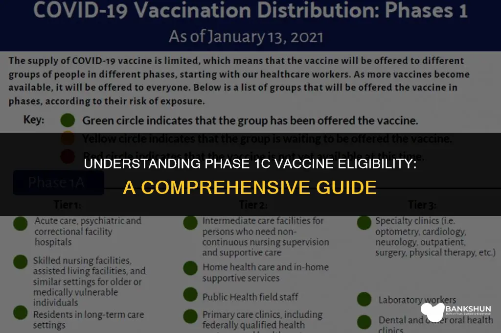 who is included in phase 1c vaccine