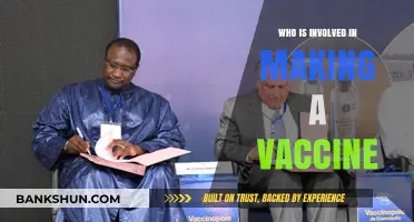 Collaborative Efforts: The Key Players in Vaccine Development