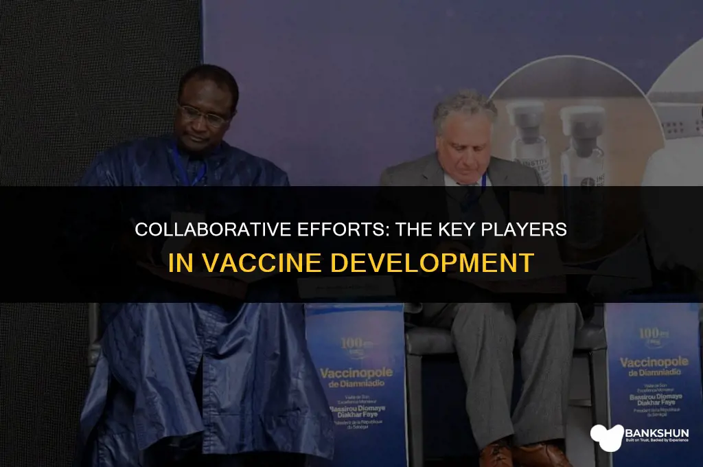 who is involved in making a vaccine