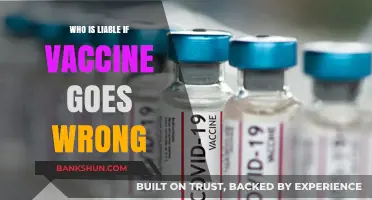 Navigating Vaccine Liability: Who Bears the Responsibility?