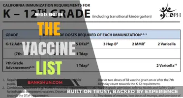 Who's Next in Line for the Vaccine? A Comprehensive Guide