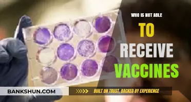 Understanding Vaccine Inaccessibility: Who's Left Behind in the Rollout?