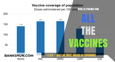 Unveiling the Financiers Behind Global Vaccine Distribution