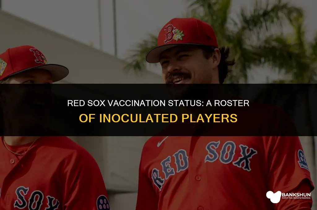 who is vaccinated on the red sox
