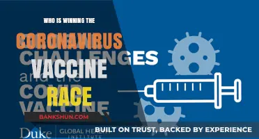 Frontline Fighters: The Global Quest for a Coronavirus Vaccine