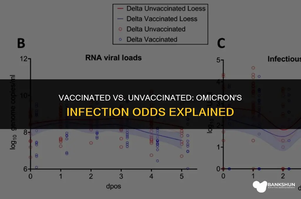 who omicron more likely to infect vaccinated