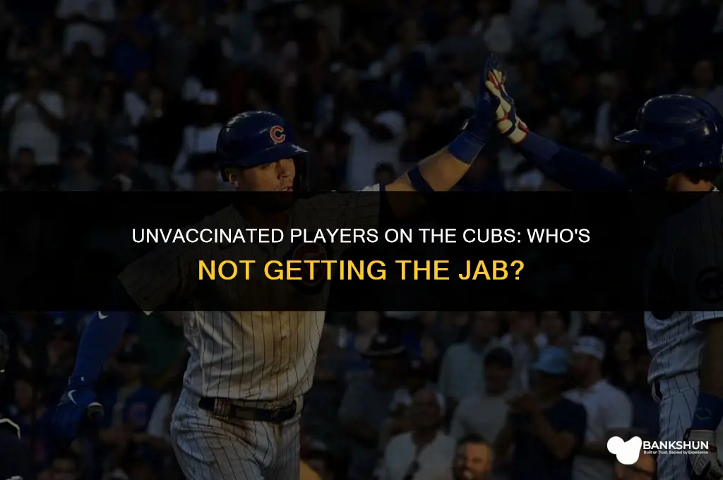 who on the cubs is not vaccinated