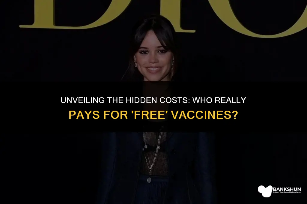 who pays for free vaccines in countries