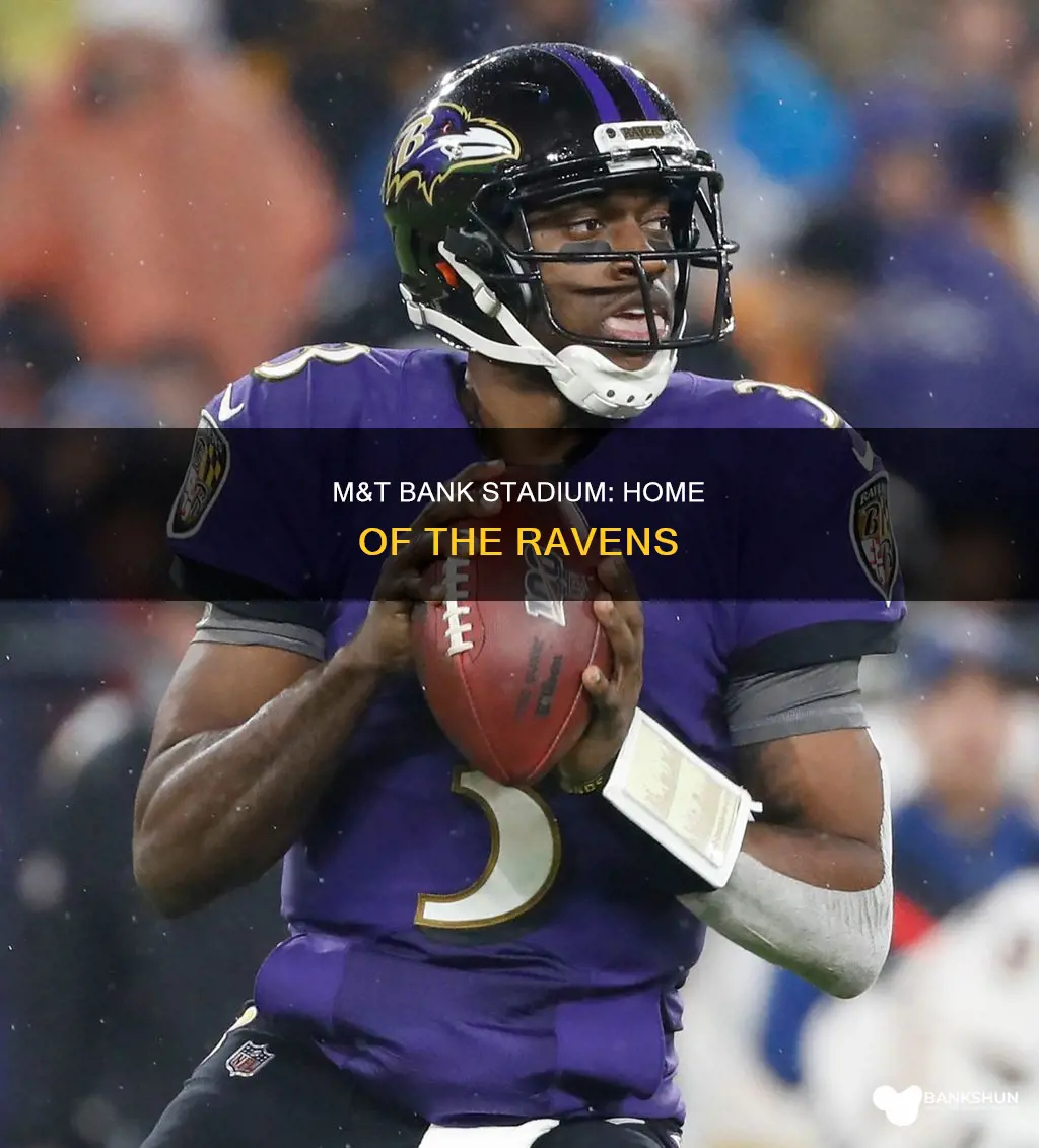 who plays at m&t bank stadium